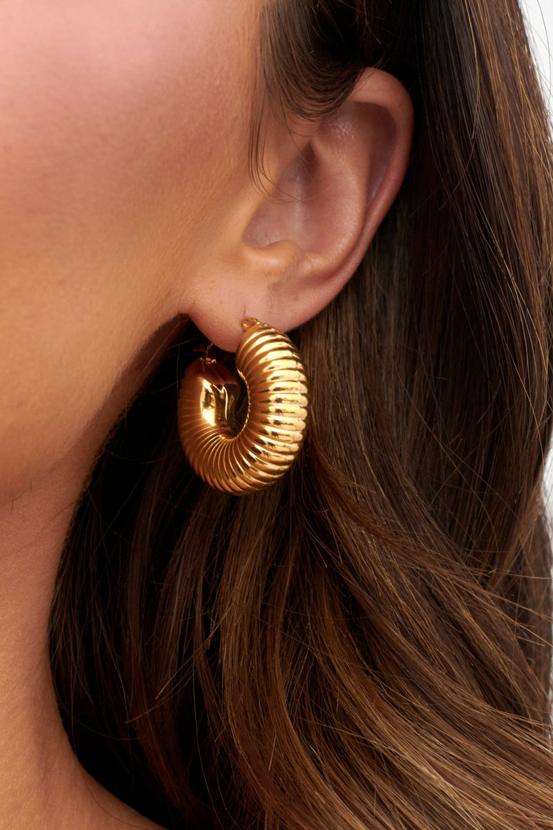 Boucles d'oreilles créoles en or Tammi à côtes épaisses